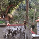 Barunei Hill- A Nature Lover’s Paradise in Odisha