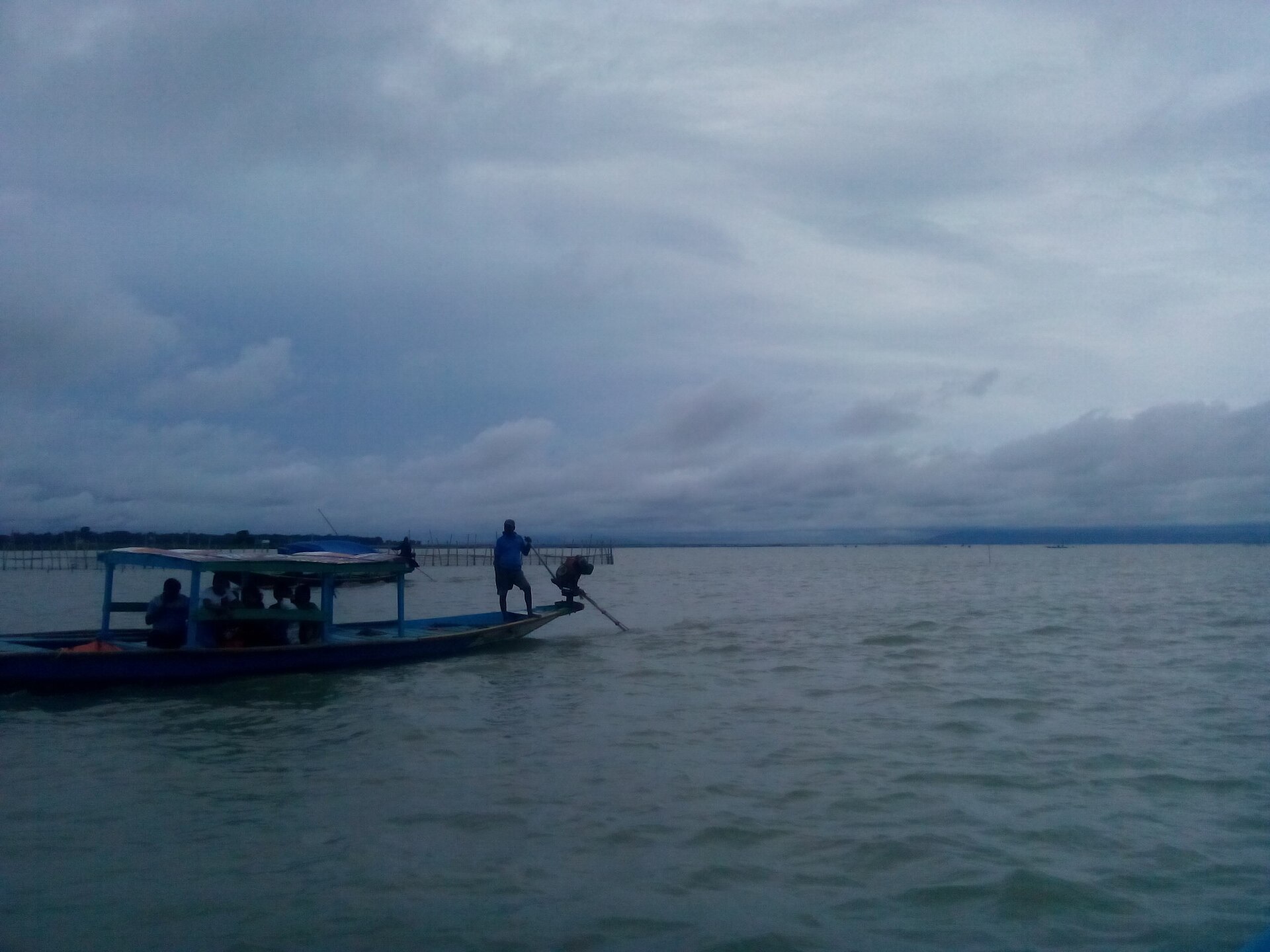 Irrawaddy dolphin in Chilika Lake near Satapada